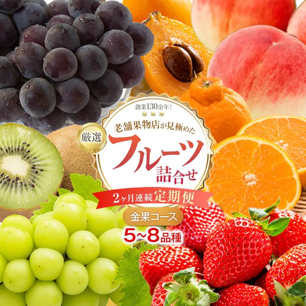 【2ヶ月連続定期便】厳選フルーツ詰合せ【金果コース】5～8品種