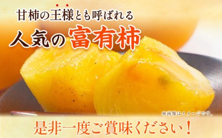 厳選・産直 富有柿 約2kg 化粧箱入り 柿