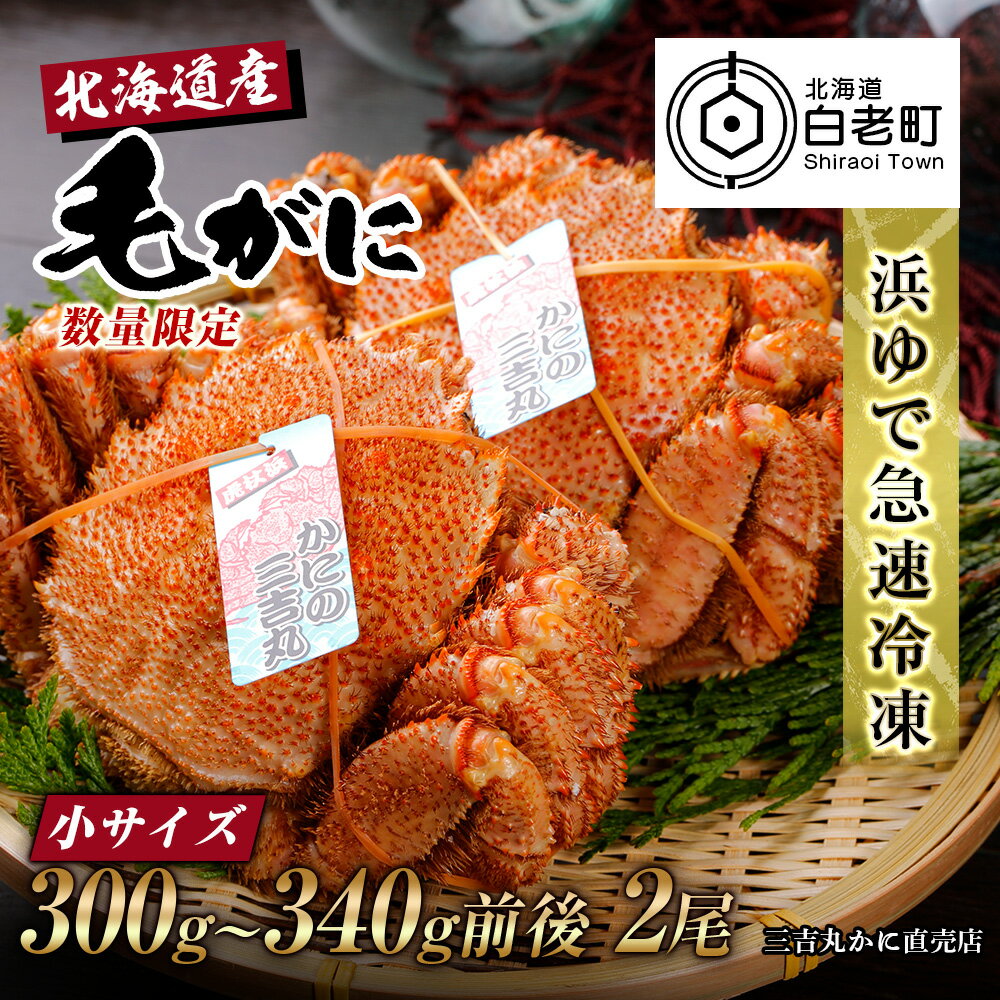 【ふるさと納税】【小サイズ】北海道産 冷凍ボイル毛ガニ (300g-340g前後) 2尾毛がに 毛ガニ 毛蟹 蟹 カニ 北海道ふるさと納税 白老 ふるさと納税 北海道 おせち