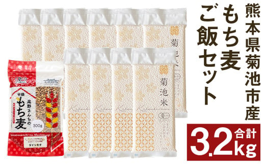 熊本県菊池産 ヒノヒカリ もち麦 セット 計3.2kg 七城物語 高野さんちのもち麦ごはん 自然栽培米 お米 こめ コメ 米