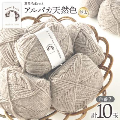 ふるさと納税 江南市 あみもねっと アルパカ天然色並太 2番色 10玉セット