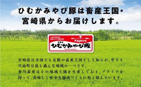 第56回天皇杯受賞企業「香川畜産」食べ比べセット1,100g【肉 豚肉 国産 九州産 宮崎県産 食べ比べ スライス 豚しゃぶ 焼肉 とんかつ セット】