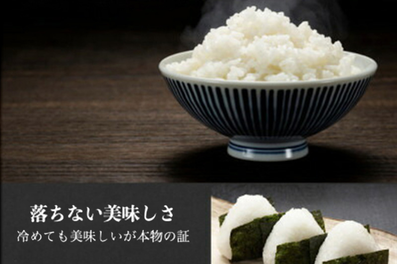 令和7年産 新米《高級桐箱入り》沼田のこしひかり「みずのながれ」9kg×1箱 群馬県沼田市産 精米 白米 コシヒカリ