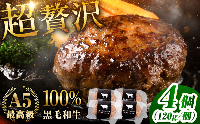 黒毛和牛 ハンバーグ 4個 (120g×1個入×4パック) 【株式会社中野畜産】 [BHAQ002]