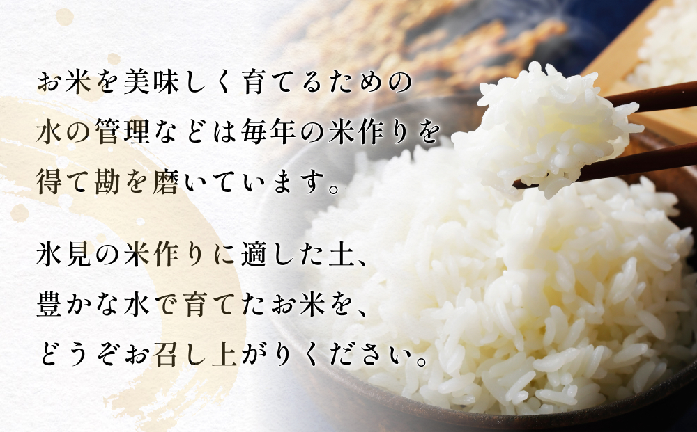 【3回定期便】富山県産 コシヒカリ 5kg 