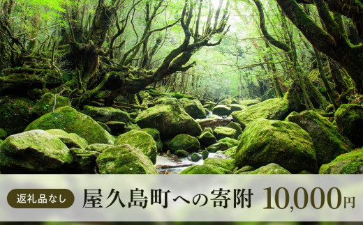 
【返礼品なし】屋久島町への寄附　1口10,000円
