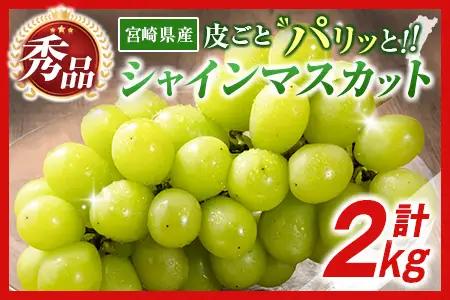 【令和9年先行予約】シャインマスカット 2kg　シャインマスカット