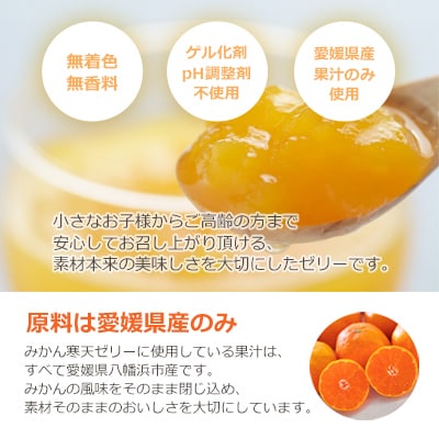 【発送月固定定期便】みかん寒天ゼリー定期便〜毎月1品種10本 全12回【H25−147】【4012160】
