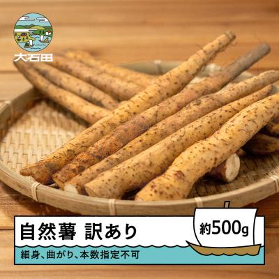 ふるさと納税 大石田町 雪国育ちの自然薯 訳あり スティック 約500g 野菜 やまいも じねんじょ 山形県