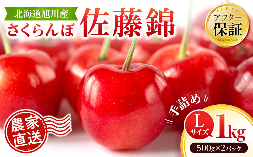 【先行予約】戸田果樹園 佐藤錦 Lサイズ1kg(500g×2パック) 手詰め（2026年7月上旬より発送開始予定）_05950