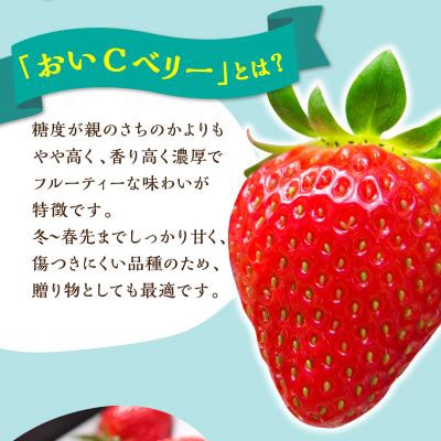 【2025年4月発送開始】岡山県美作市産　おいCベリー(約280g×2パック)【配送不可地域：離島・北海道・沖縄県】