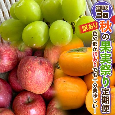 ふるさと納税 山形市 【定期便3回】★訳あり★秋の果実祭り定期便 【令和7年産】FS24-814