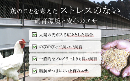 【もも肉】【胸肉】各 1kg 計 2kg セット 水郷のとりやさん