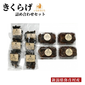 弥彦村産 越のうさぎ 生きくらげ250g×4･乾燥きくらげ25g×6 詰め合せセット | 生きくらげ 新潟県