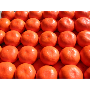 香川県のオリジナル品種 小原紅早生みかん約 5kg フルーツ 果物類 柑橘類 