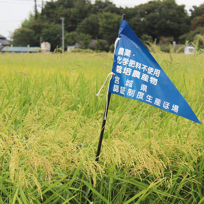 ＜有機JAS＞ササニシキ 精米 5kg(5kg×1袋) 朱鷺みらい 精米 有機栽培 登米市産 お米 おこめ 米 コメ 白米 ご飯 ごはん おにぎり お弁当 ささにしき 【オーガニックとめネットワーク】