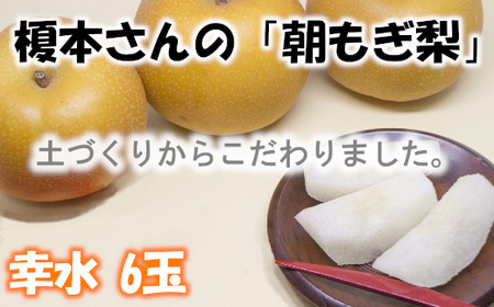 【幸水（3L～4L）6玉】土づくりからこだわる！榎本さんの「朝もぎ梨」　【11246-0377】
