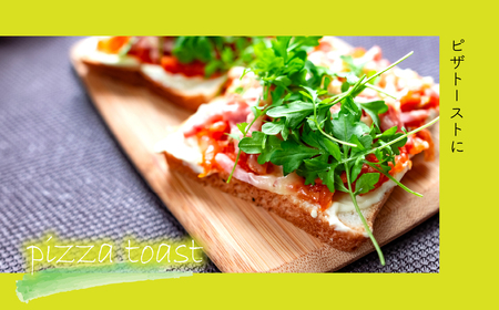 【産地直送】朝摘み新鮮!道志村産クレソン 20束(1400~600g) DSAA003 【期間限定】