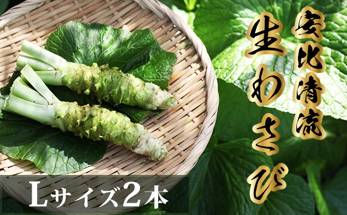 
            岩手県産 生わさび  (Lサイズ) 1本70g以上のもの確約 2本セット 【安比清流山葵園】 ／ 山葵 ワサビ わさび 薬味 国産 八幡平市産 産地直送 新鮮 調味料 刺身 ステーキ 蕎麦 和え物 漬け物 刻み おろし 辛味 和食 お寿司 そば 肉の薬味 魚の薬味 そばの薬味 おすすめ オススメ
          