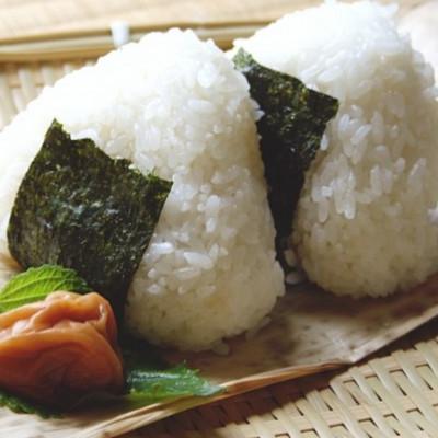 ふるさと納税 大牟田市 福岡有明のり　訳あり!　焼き海苔　20g×2袋【全形換算約14枚相当】(大牟田市) |  | 01