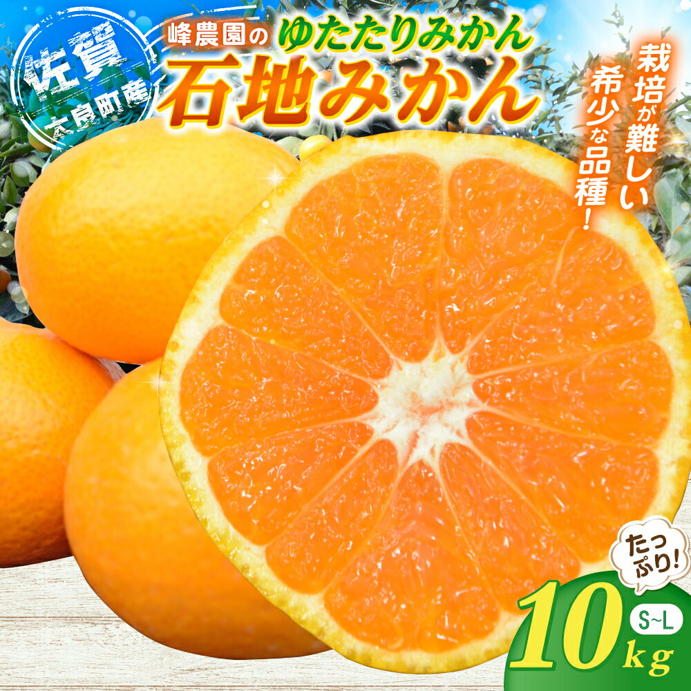 【ふるさと納税】峰農園のゆたたりみかん【石地みかん】10kg フルーツ 果物 くだもの 柑橘 みかん 佐賀県 太良町 NB14