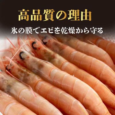 【薩摩の甘エビ】天然タカエビ500g　A0-50【配送不可地域：離島】