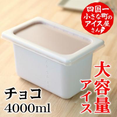 ふるさと納税 田野町 【四国一小さなまちのアイス屋さん】≪松崎冷菓≫大容量アイス4000ml ★チョコ★