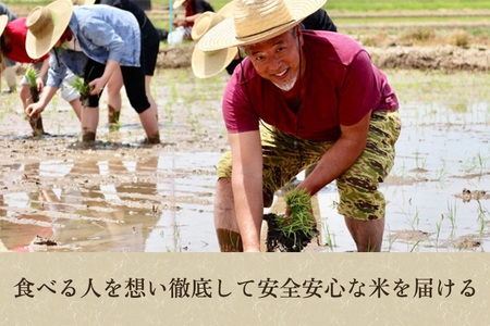 【令和7年産】[発芽玄米] 新潟産 発芽玄米2.4kg（600g×4個）《9月下旬〜順次出荷》