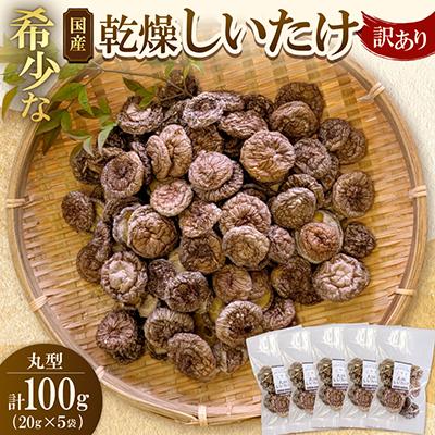 ふるさと納税 大垣市 【訳あり】希少な国産乾燥しいたけ 丸型 計100g(20g×5袋)