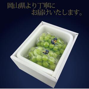 [HS]【定期便 全2回】ぶどう 2026年 先行予約 9月・10月発送 最高級品シャイン マスカット 晴王 2房 〈合計約1.4kg〉 ブドウ 葡萄  岡山県産船穂産 フルーツ 果物 ギフト