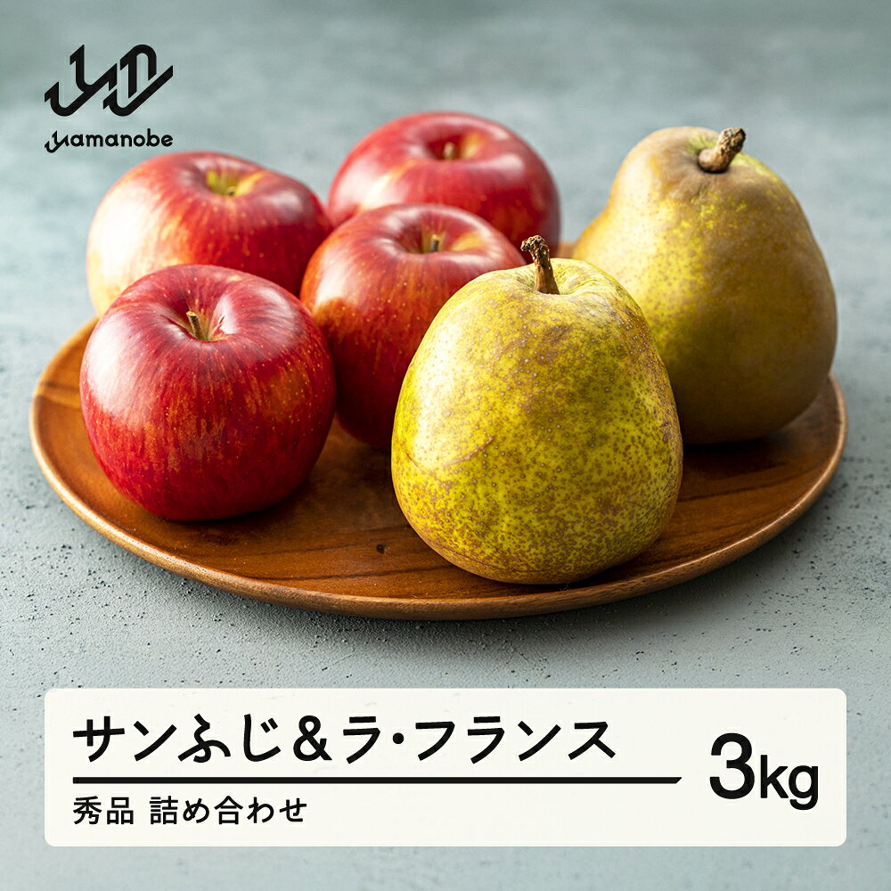 【ふるさと納税】サンふじ&ラ・フランス 3kg 令和8年産 2026年産 山形県産 りんご ラフランス 送料無料 ※沖縄・離島への配送不可　ns-fsrlx3