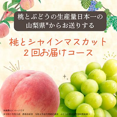 ふるさと納税 山梨市 【発送月固定定期便】山梨の美味しい【桃とシャインマスカット】定期便全2回 |  | 02