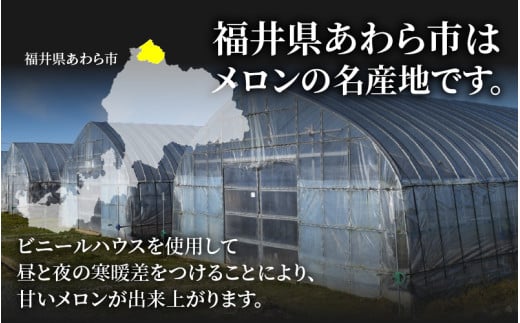 【先行予約】佐藤農園の赤肉と青肉食べ比べ計2玉（レノンメロン・アンデスメロン）農家直送 秀品 お届け！ / フルーツ くだもの 特産 旬 夏 果物 完熟  メロン 朝どれ 美味しい お取り寄せ 贈答 ※2027年6月中旬～7月末の間に順次発送予定 [aw069-a011]