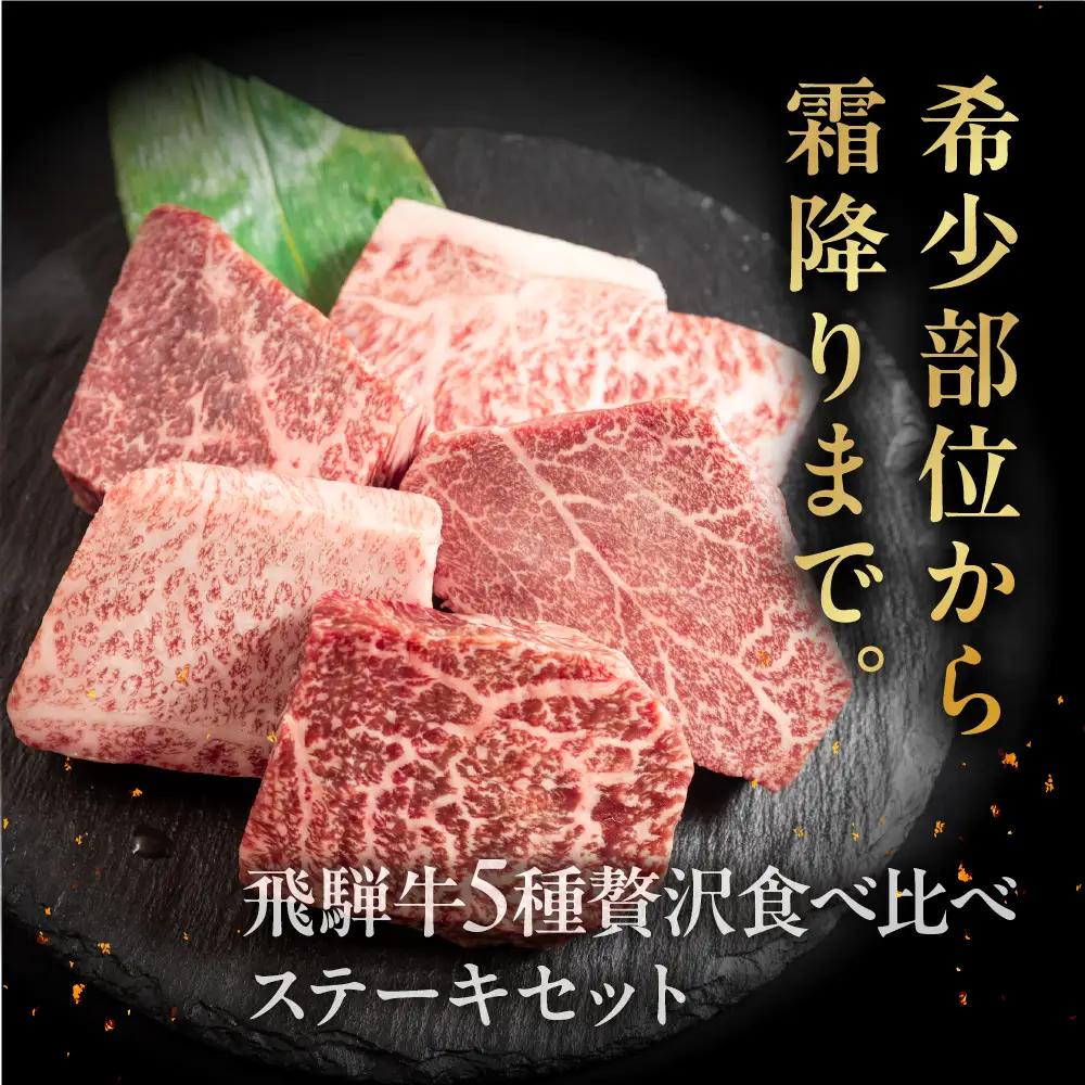 飛騨牛 希少部位食 5種 食べ比べステーキセット（各100g）計500g （サーロイン・ヒレ・ランプ・イチボ・トモサンカク）【22-51】