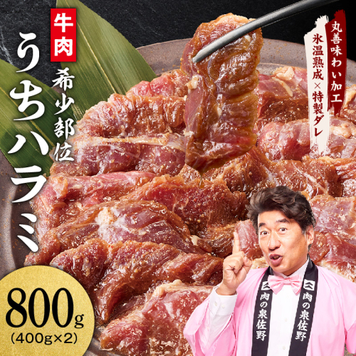 【氷温熟成×特製ダレ】希少部位 牛肉 うちハラミ 800g（400g×2）＜スピード発送＞ mrz0398-1
