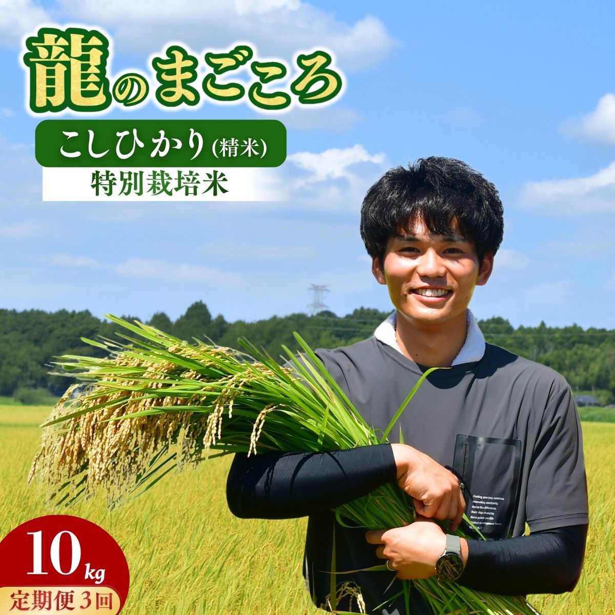 ＜3ヵ月定期便＞【令和7年産】龍ケ崎の特別栽培米 コシヒカリ 10kg（5kg×2袋）❙ こしひかり お米 米 こめ 白米 精米 冷めてもおいしい 美味しい こだわり いばらきみどり認定 おにぎり 茨城県 龍ケ崎市産