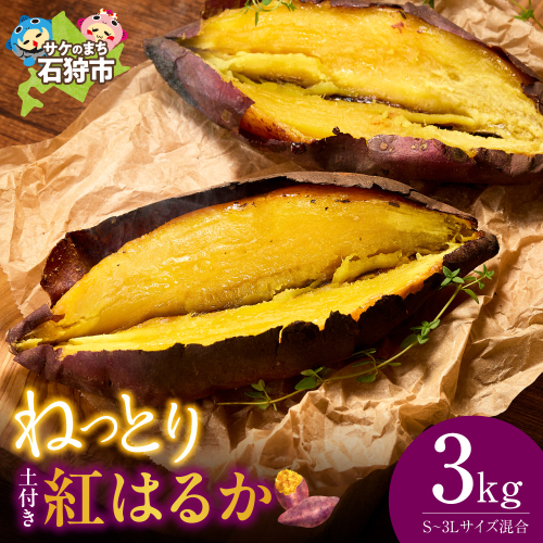 【先行予約】石狩産 土付サツマイモ 紅はるか（S～3Lサイズ混在） 3kg【10月発送】｜ふるさと納税 野菜 さつまいも 北海道 石狩市