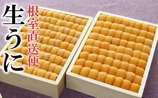 
E-40028 エゾバフンウニ並べ詰め150g×2折
