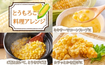【 2026年 発送 】 北海道産 とうもろこし 味来 計12本 L-2L サイズ混合 大きめ みらい 旬 朝採り 新鮮 トウモロコシ 甘い 夏野菜 とうきび お取り寄せ 産地直送 野菜 しりべしや 