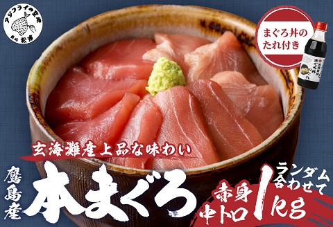 鷹島産最高級本まぐろ まぐろ丼のたれ付き(1kg)【E5-003】