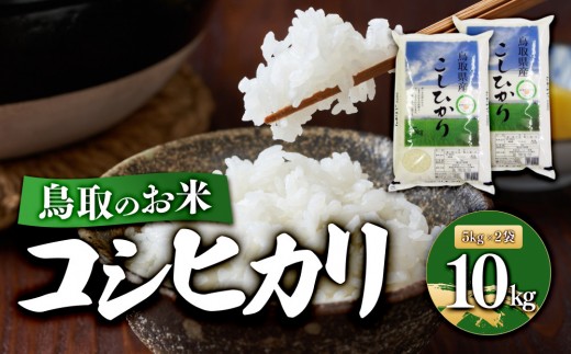 鳥取のお米 コシヒカリ 5kg × 2袋 精米【R7年産 2025年産 米 こめ ご飯 ごはん おにぎり おむすび 夕食 5キロ 計 10kg 10キロ 鳥取県産 北栄町 おすすめ 人気】