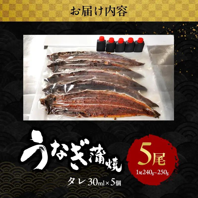 うなぎ 国産 蒲焼き 5尾 (1.2kg～1.25kg) 詰め合わせ セット うなぎ蒲焼 国産うなぎ 国産うなぎ蒲焼 うなぎの蒲焼 冷凍ウナギ 冷凍食品 冷凍 惣菜 おかず 魚 魚介 魚介類 大阪 大