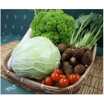 ふるさと納税 芝山町 旬野菜の詰め合わせ　「大地の恵みセット」5〜6種+コシヒカリ2kg【令和6年産】 |  | 02