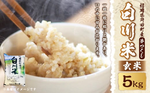 【新米先行予約】白川米 ( 夢つくし ) 玄米 5kg【2025年10月下旬から順次発送予定】