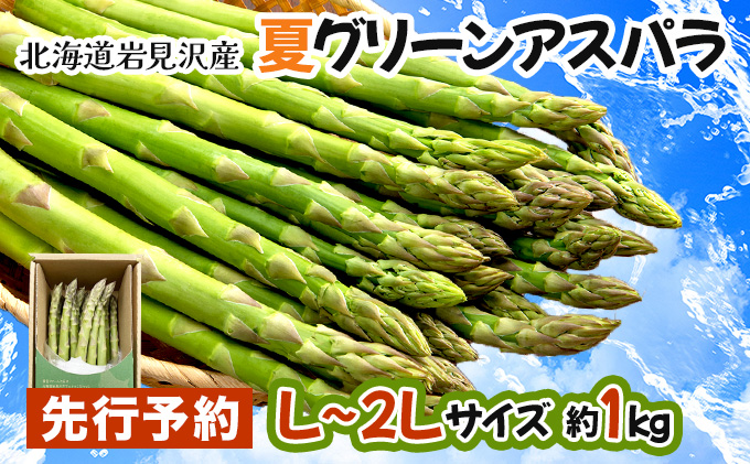 【先行予約／令和8年産】北海道岩見沢産　夏グリーンアスパラ　L〜2Lサイズ 1kg【41104】