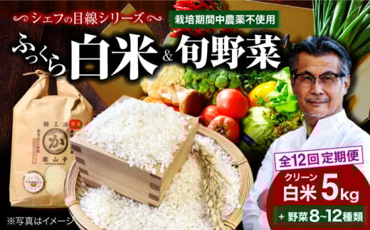お米定期便【全12回定期便】シェフの目線で厳選！ クリーン白米 5kg+旬のお野菜セット【ふるさと納税限定】 大洲市/（有）ヒロファミリーフーズ[AGBX011] お米 5kg 白米 5kg あきたこまち 野菜定期便 野菜 詰め合わせ 野菜セット 旬野菜 食材セット 宅配 おまかせセット お任せ お試しセット 新鮮 こだわり シェフ厳選 サラダ スープ 12回定期便 12ヶ月定期便 12か月定期便