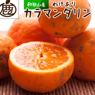 ＜4月より発送＞家庭用 カラマンダリン4kg+120g(傷み補償分)【訳あり】【春柑橘】【配送不可地域：離島・北海道・沖縄】【1169241】