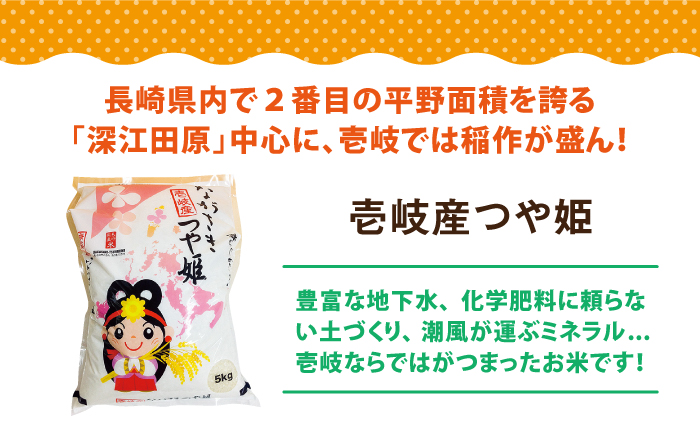 壱岐産 つや姫 10kg 《壱岐市》【壱岐市農業協同組合】 米 お米 ご飯 お弁当 常温発送 [JBO143] 31000 31000円