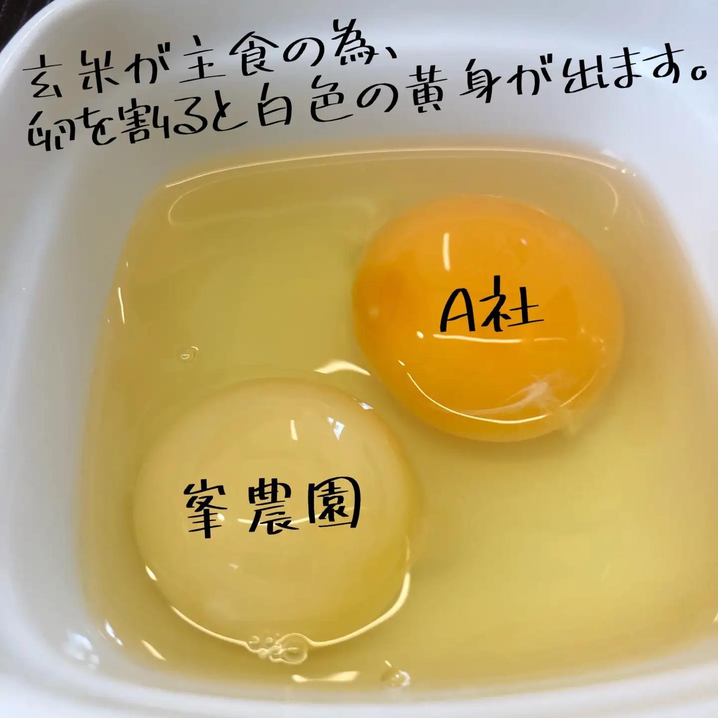 アローカナ 鶏卵 10個