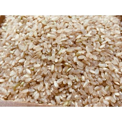 ふるさと納税 五條市 生命の農法(栽培期間中化学農薬・化学肥料不使用栽培)お米(5kg)玄米 |  | 03